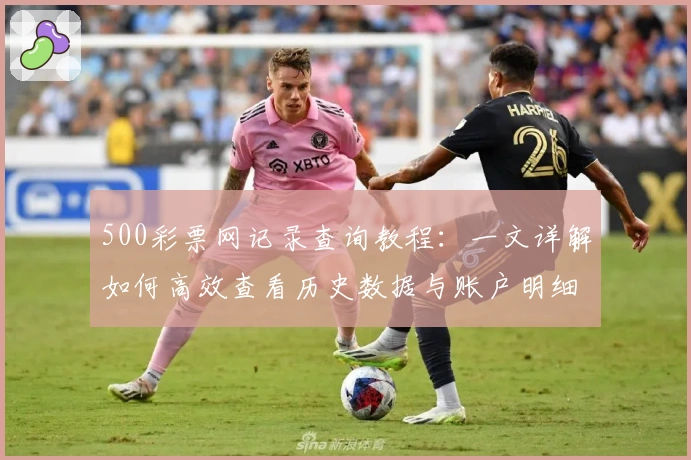 500彩票网记录查询教程：一文详解如何高效查看历史数据与账户明细