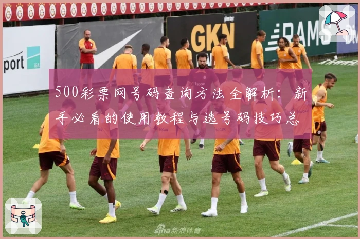 500彩票网号码查询方法全解析：新手必看的使用教程与选号码技巧总结
